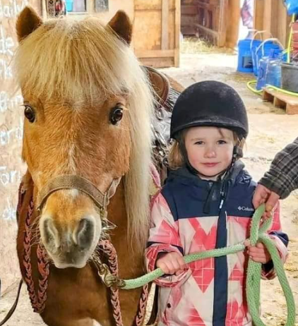 Child and brown pony