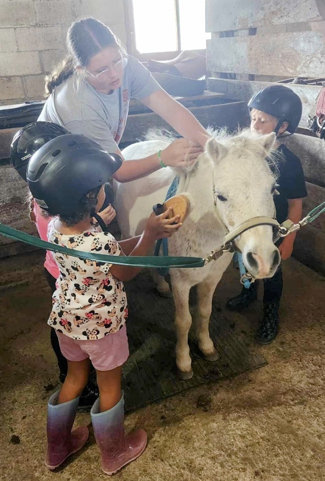 3 people caring for, and brushing a white pony